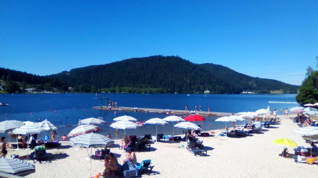 Chalet Les Camelias Spa Gérardmer Dış mekan fotoğraf
